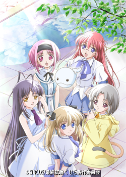 �ǽ�������顡